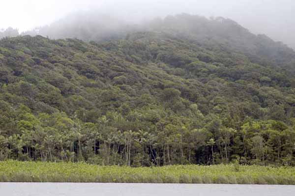 Rain Clouds Grand Etang Lake Grenada